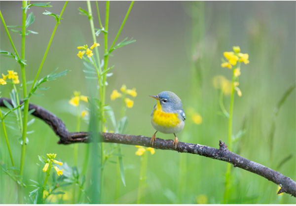 Ai sinh tháng Âm lịch này, không nhìn mặt, chỉ dựa tâm, nhờ thực lực để kiếm cơm, thành công rực rỡ-3
