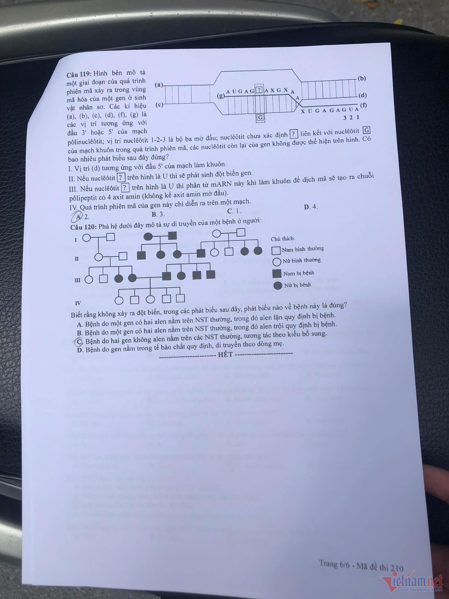 Đề thi chính thức môn Sinh học thi tốt nghiệp THPT 2023-6