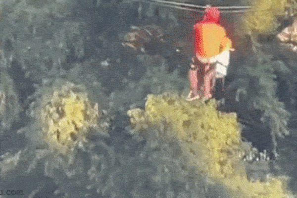 Chơi trò đu dây mạo hiểm, cậu bé bị rơi giữa chừng từ độ cao 12m, clip hiện trường gây sốc-1