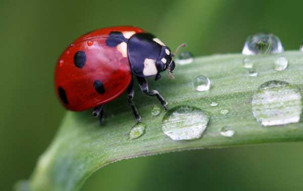 Cưỡi sóng đạp gió: 4 con giáp thu nhập gấp đôi, không lo nghèo khó trong mùa hè 2023-3