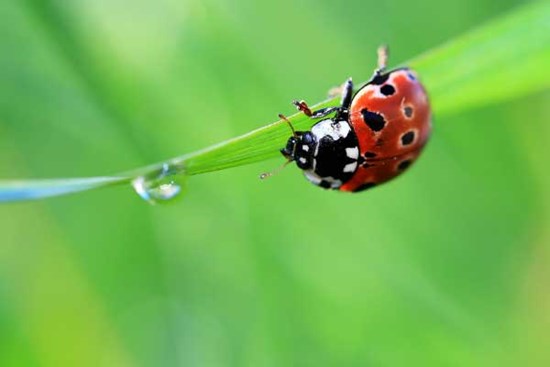 Cưỡi sóng đạp gió: 4 con giáp thu nhập gấp đôi, không lo nghèo khó trong mùa hè 2023