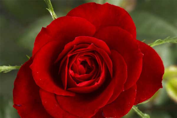 Tử vi ngày 30/6/2023 của 12 cung hoàng đạo: Thiên Bình mệt mỏi, Nhân Mã nhiệt huyết-5