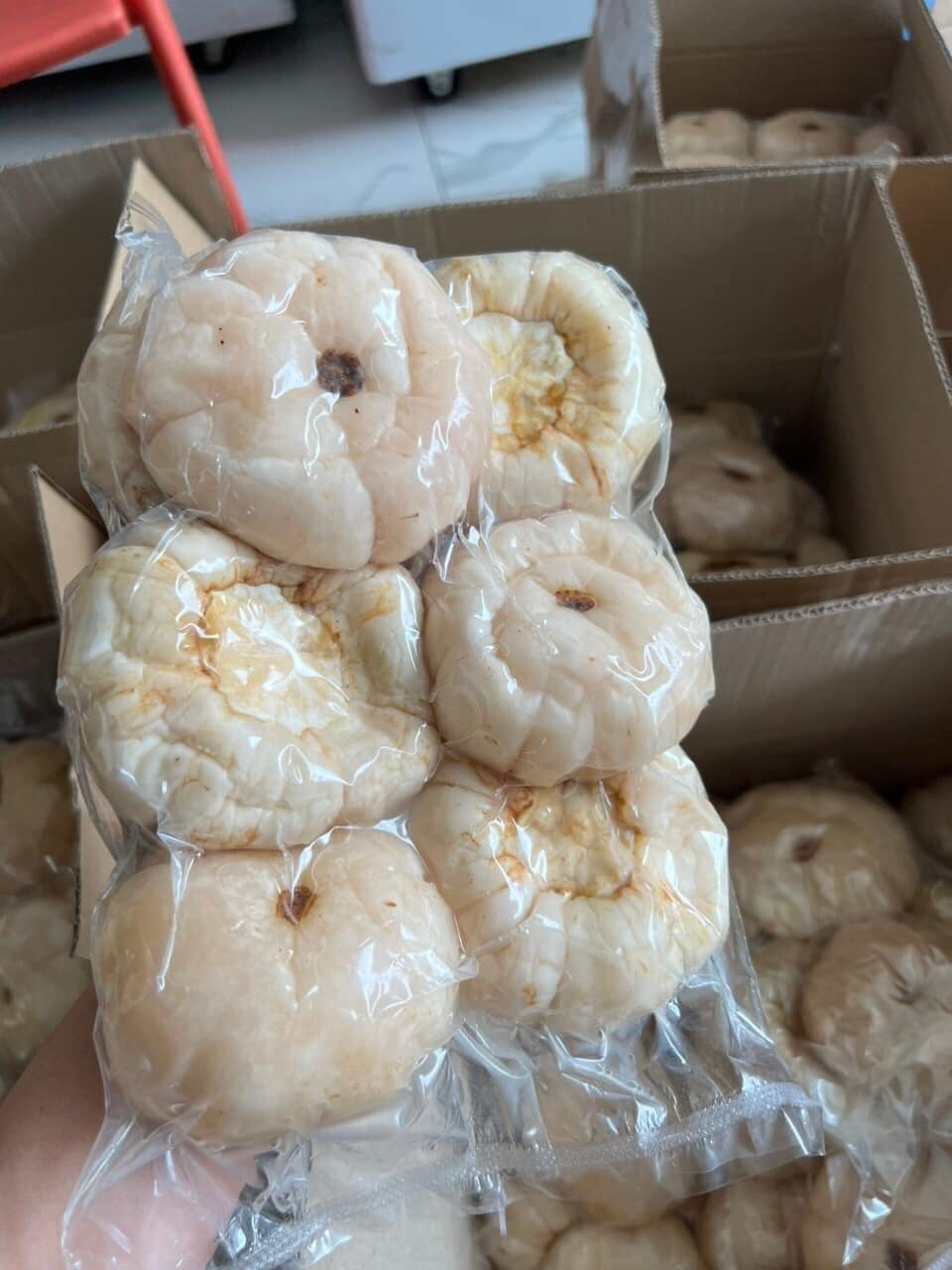 Loại cà siêu to khổng lồ” đắt khách, dân buôn liên tục báo cháy” hàng-1