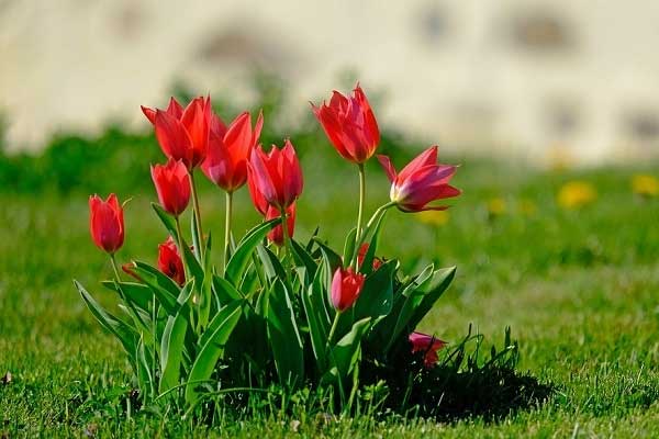 Thời tới cản không nổi: Người sinh ngày Âm lịch này mang số mệnh vàng mười, về già tài lộc dư dả-1