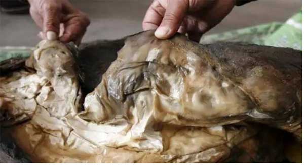 Bỏ quên tảng thịt suốt nửa năm, ngư dân tròn mắt khi biết đó là thứ quý như vàng-4