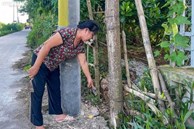 Người dân ngoại thành Hà Nội tá hỏa nhận hóa đơn tiền nước gần 30 triệu đồng