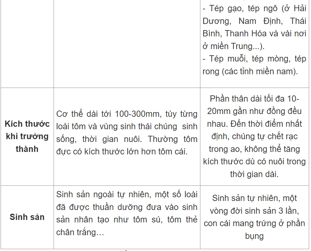 Phân biệt con tôm và con tép-3