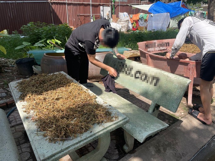 3 thanh niên quảng cáo cho web cờ bạc phải lau 70 ghế đá ở Thủ Đức-2