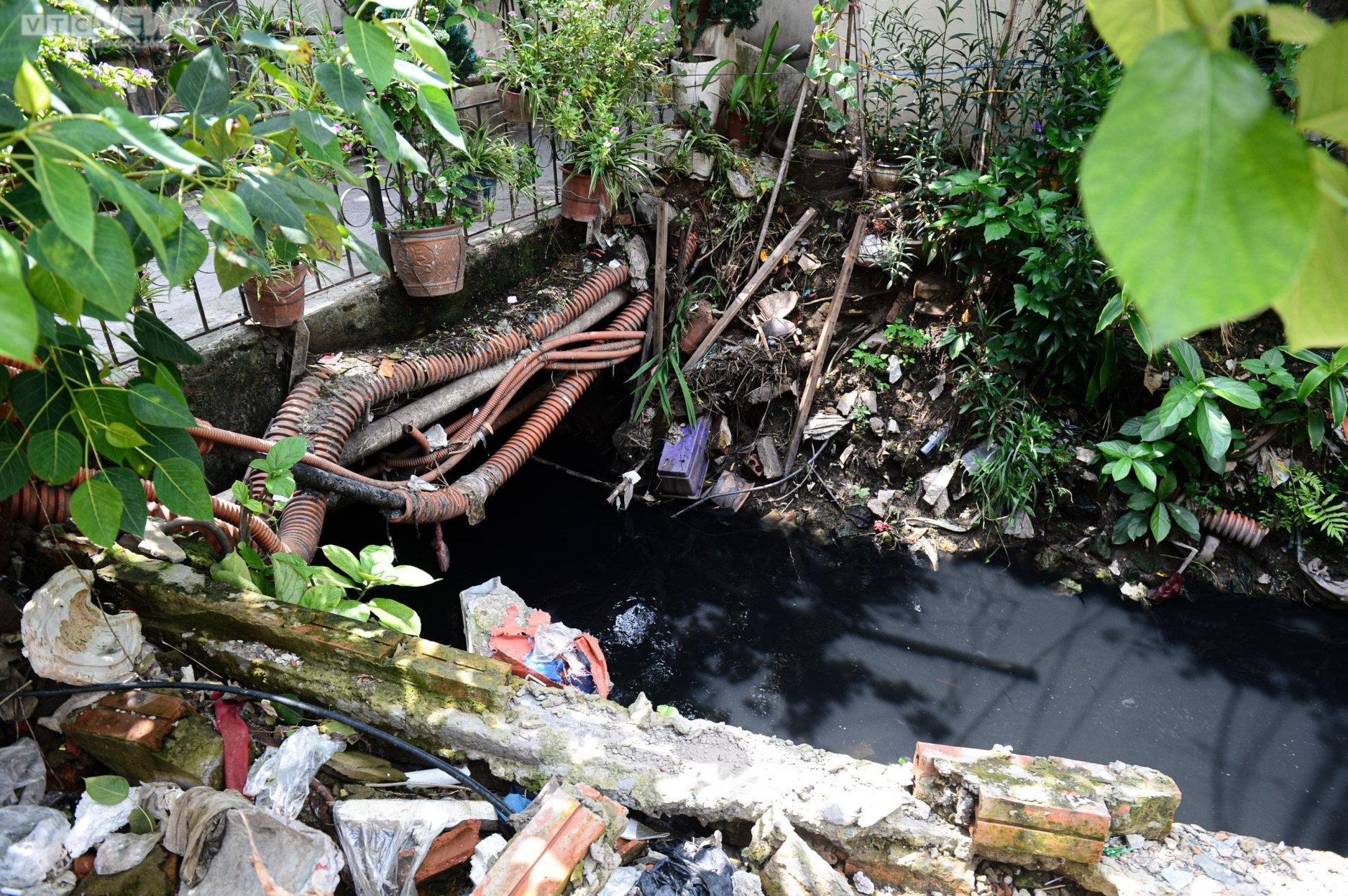 Hãi hùng bể phốt lộ thiên tra tấn người dân Hà Nội suốt hàng chục năm-2