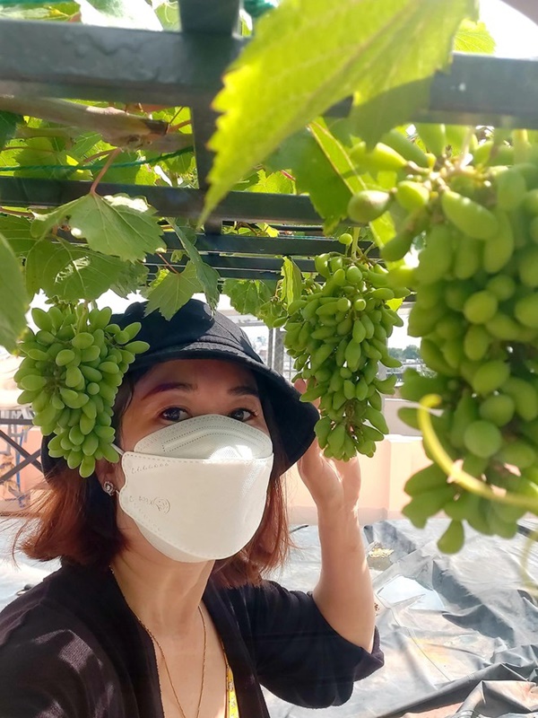 Mẹ đơn thân sở hữu khu vườn sân thượng trĩu quả ngay giữa Sài Gòn-5