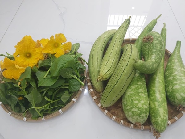 Mẹ đơn thân sở hữu khu vườn sân thượng trĩu quả ngay giữa Sài Gòn-7