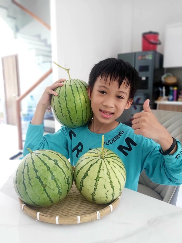 Mẹ đơn thân sở hữu khu vườn sân thượng trĩu quả ngay giữa Sài Gòn-10