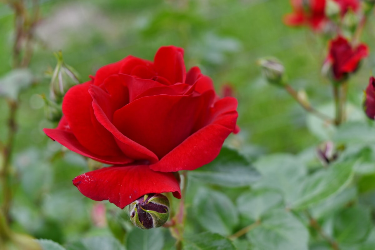 Trời thương người tài: 3 con giáp khó khăn cũng không than vãn, tháng 7 được cấp trên nâng đỡ-1