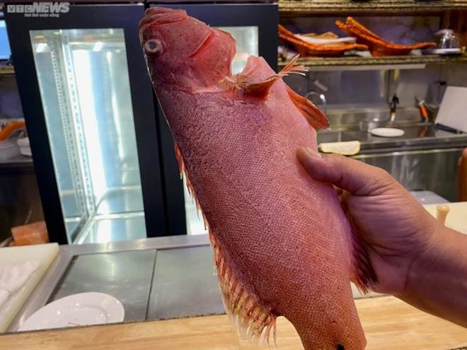 Cá ủ tươi lần đầu xuất hiện tại TP.HCM, 4 triệu đồng/kg vẫn hút khách-3