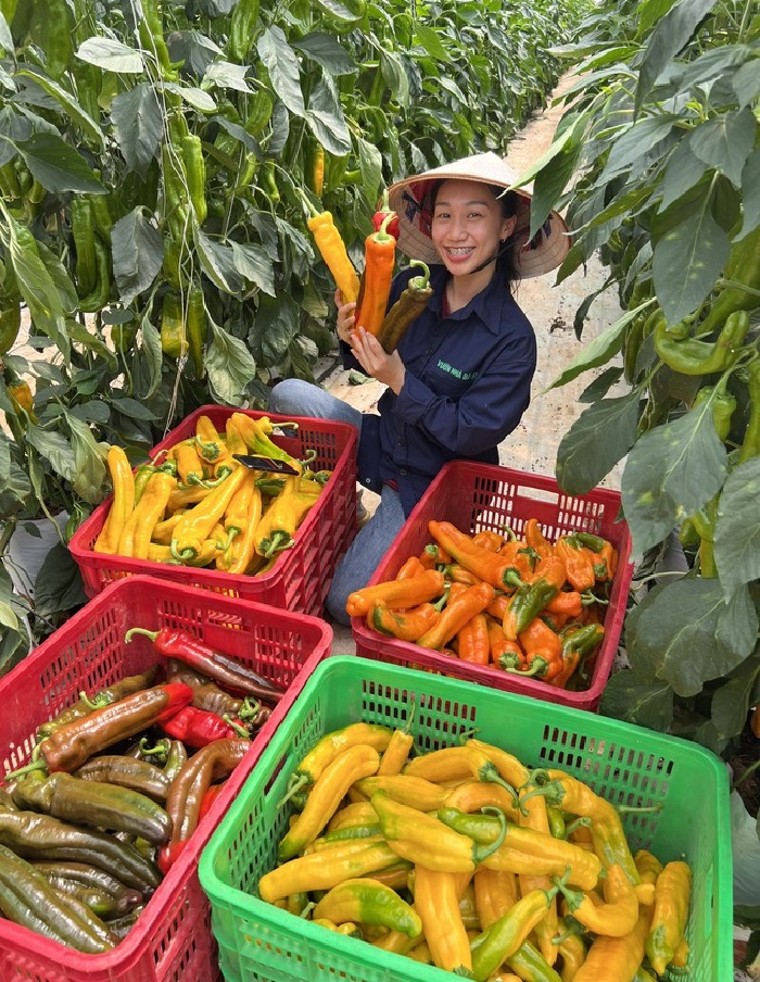 Chốt cả trăm đơn hàng, bán hàng tấn nông sản trong 30 phút nhờ livestream-2