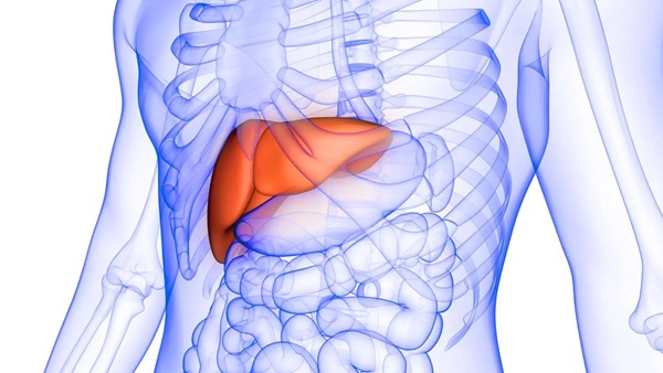 Đau vị trí này ở bụng có thể báo hiệu bạn đang bị gan nhiễm mỡ-1
