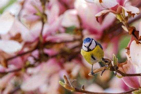 Phúc lành dư dả: 4 con giáp khởi sắc trong tháng 7, tiền tiêu rủng rỉnh, tình yêu rực rỡ