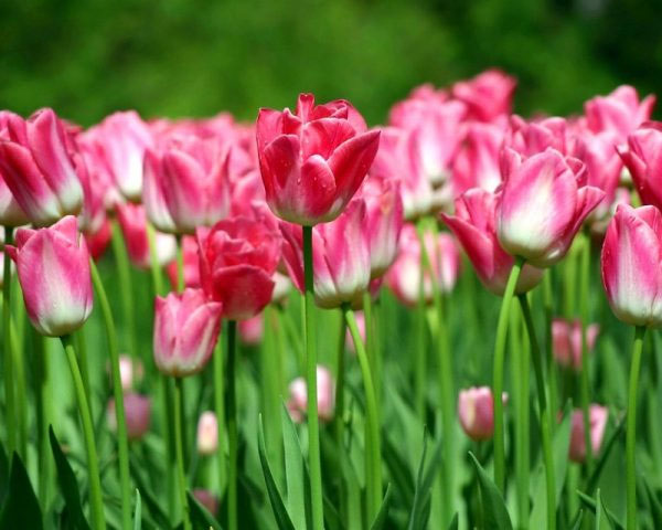 Tài lộc quấn thân: Người sinh vào 3 khung giờ Âm lịch này được Thần Tài ưu ái, sau tuổi 35 hốt bạc không ngừng-3