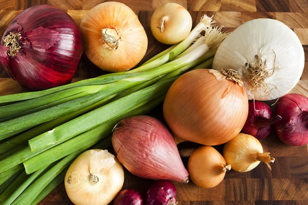 Một số loại kháng sinh tự nhiên có sẵn trong nhà có thể bạn chưa biết-2