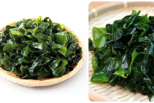 Rong biển có tác dụng gì?-1