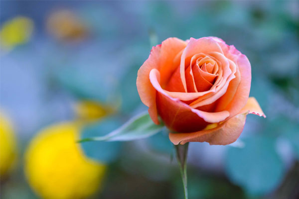 Tài lộc như thác đổ: 3 con giáp tài giỏi, phản ứng nhanh, cuối tháng 5 Âm lịch phất lên không ngừng-1