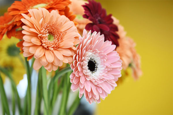 Tài lộc như thác đổ: 3 con giáp tài giỏi, phản ứng nhanh, cuối tháng 5 Âm lịch phất lên không ngừng-3