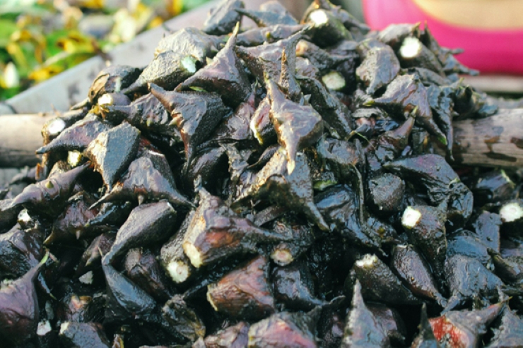 Loại củ đen sì, gai sắc nhọn, dân buôn ngày bán hàng tạ-2