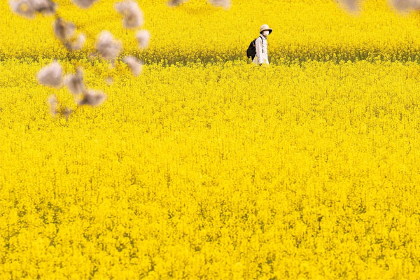 Nỗ lực được đền đáp: Ai sinh tháng Âm lịch này không ngại khó khăn, thắng lợi về tay, nhân sinh như ý-1