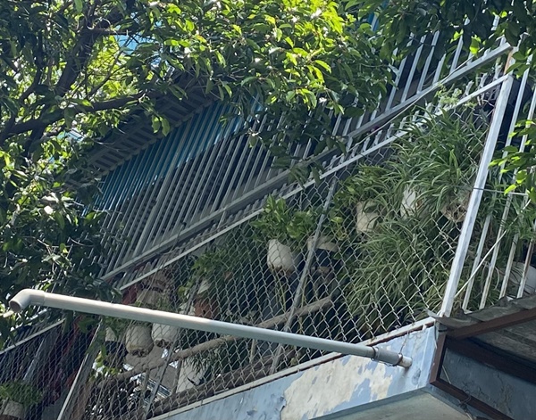 Dừng nhận hồ sơ tuyển sinh lớp 10 chỉ sau 30 phút, trường Phan Huy Chú nói gì?-2