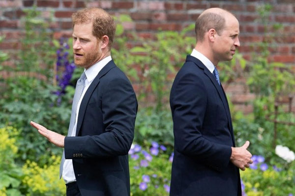 Người duy nhất có thể hàn gắn William và Harry-2
