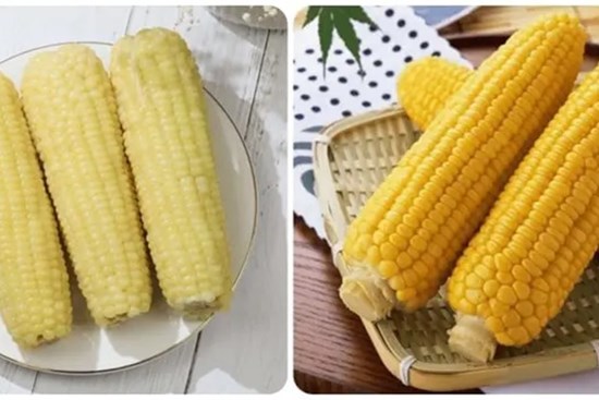 Những người không nên ăn ngô luộc
