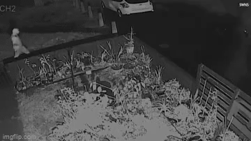 Anh: Nụ cười ớn lạnh của kẻ thủ ác sau khi phóng hỏa đốt nhà khiến 3 mẹ con tử vong-1