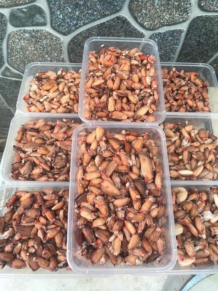 Càng cua bất ngờ được rao bán đầy chờ mạng, khách mua phải đặt trước-4