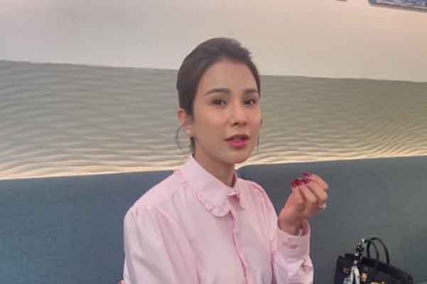 Diệp Lâm Anh: Tôi sẽ công khai chứng cứ ngoại tình của anh Đức và Quỳnh Thư-2