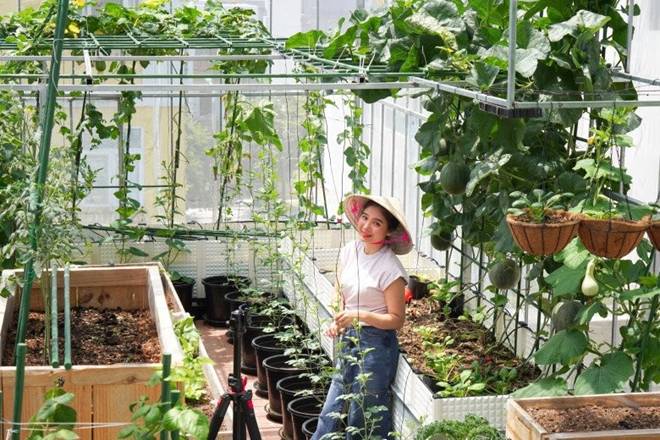 Đôi vợ chồng 8X dỡ mái nhà, chi 80 triệu trồng rau trên nóc cho thỏa đam mê, rau nào cũng xanh mướt mắt-1