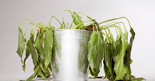 Bàn làm việc mà vẫn còn để những thứ này, công việc kém suôn sẻ, sự nghiệp khó thăng tiến-7