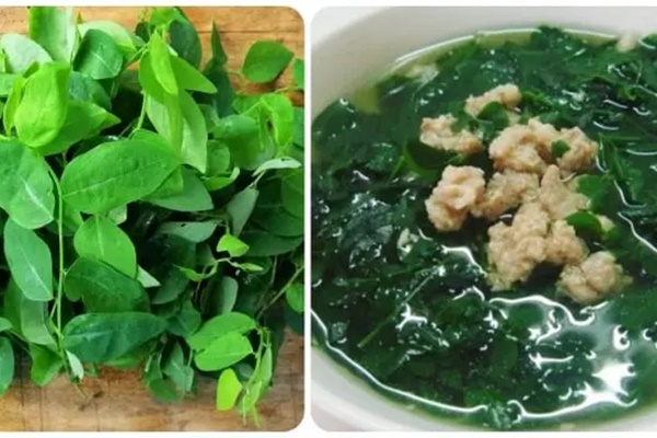 Rau ngót cực bổ dưỡng nhưng đại kỵ với 3 nhóm người này-2