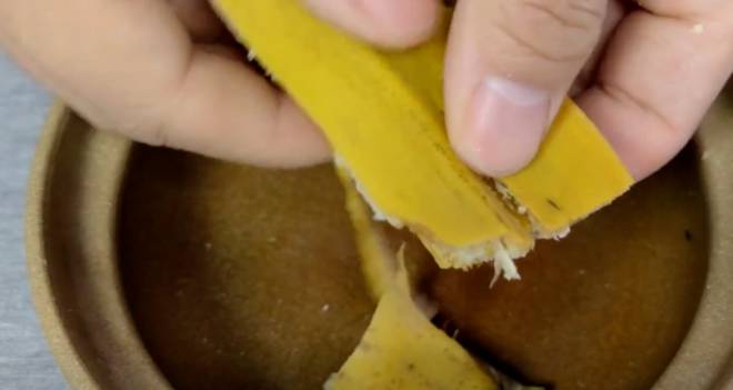 Diệt muỗi chưa bao giờ đơn giản đến thế, chỉ cần một lon nước ngọt có ga là đủ, không tin bạn hãy thử xem-2