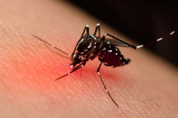 4 cách thoát nóng trong những ngày nắng gắt của mùa hè khi nhà không có điều hòa-5