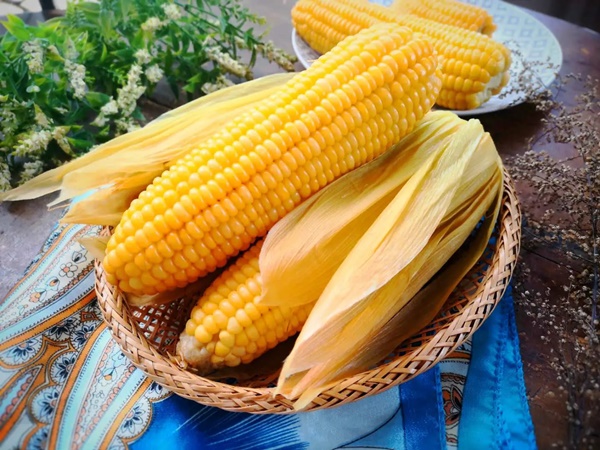 Bác sĩ cảnh báo 5 thứ trong gia đình chứa chất gây ung thư-2