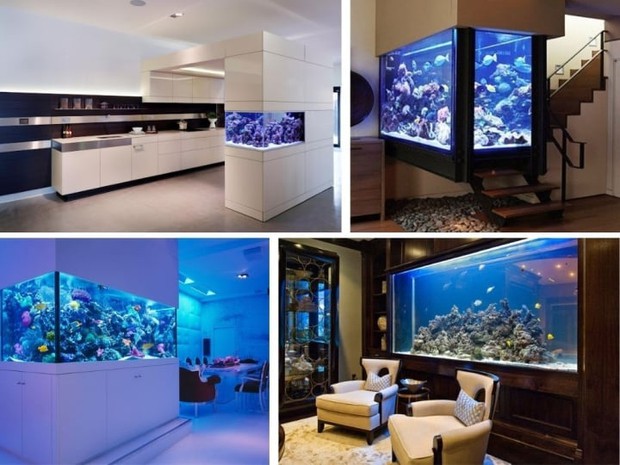 Đặt bể cá cảnh trong nhà có tốt không?-1