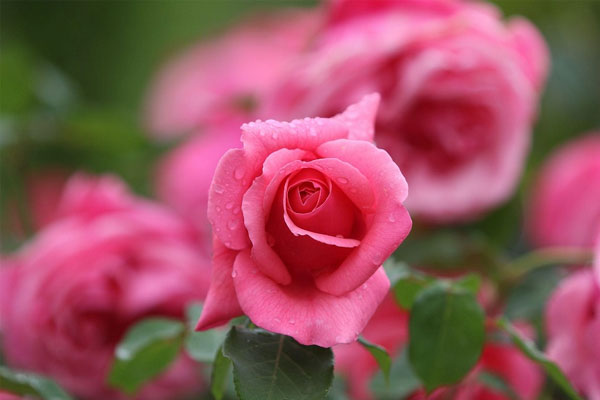 Trời sinh tốt số: Trẻ sinh vào 3 khung giờ Âm lịch này, gia đình hưng vượng, cha mẹ nhờ phúc con-1