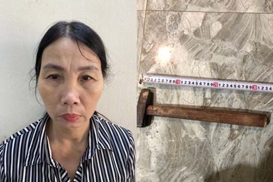 Con dâu dùng dao chọc tiết lợn và búa để giết bố chồng