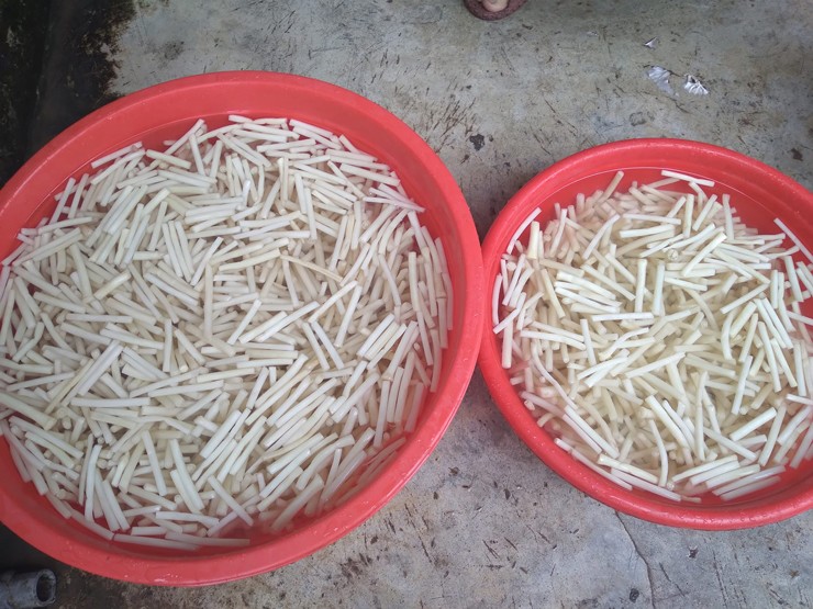 Loại rau” đặc sản trắng ngần vào mùa, giá chỉ từ 40.000 đồng/kg-3