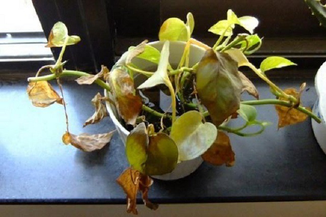 Nhà xuất hiện 3 dấu hiệu này là điềm báo chẳng lành, không sửa ngay sẽ hút cạn tài lộc-3