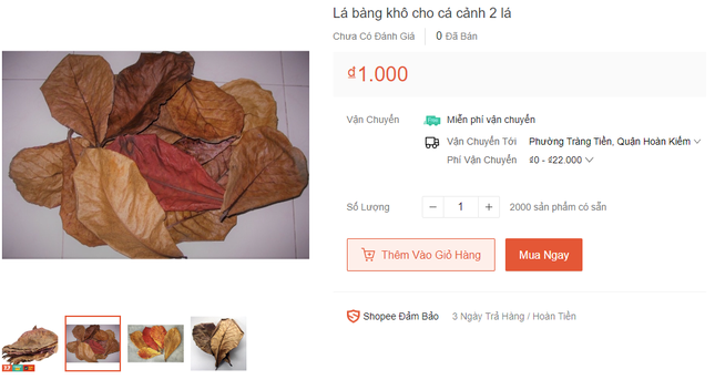 Lá khô, vỏ trấu vứt bỏ bỗng đổi đời trên sàn thương mại điện tử-1