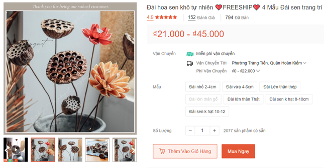 Lá khô, vỏ trấu vứt bỏ bỗng đổi đời trên sàn thương mại điện tử-6