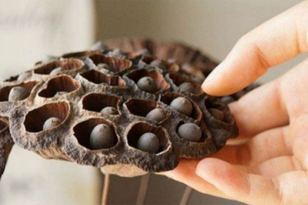 Chị em mê mẩn, thị sáp mini đầu mùa ‘cháy hàng’-4