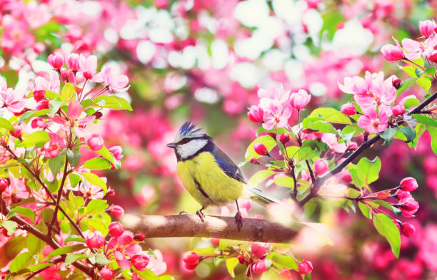 Tâm ý thiện lương: 3 con giáp quý nhân nhiều như mây, phúc khí vô biên, nổi tiếng không thiếu tiền-1