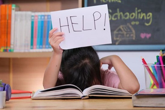 Xôn xao vụ nữ sinh ở TPHCM tố bị “đánh cắp” đề án khoa học